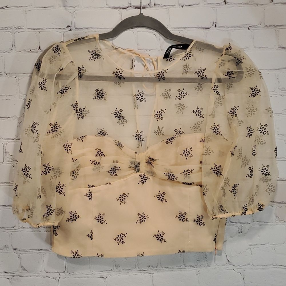 COPY - Zara Organza sheer floral top